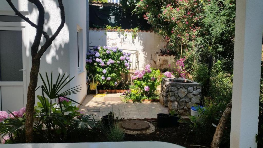 Villa Angelina Kumbor Eksteriør bilde
